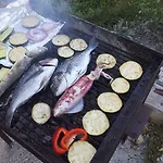 Vukman * Сегет-Враница